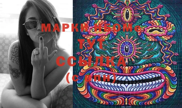 молекула духа Балахна