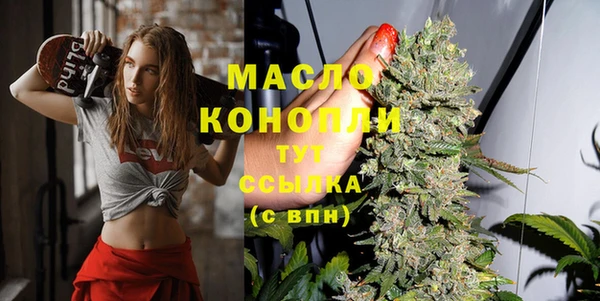 молекула духа Балахна