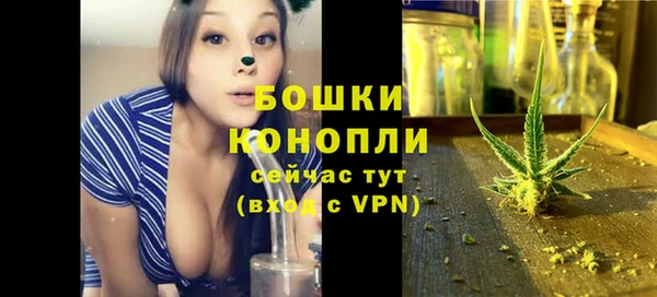 PSILOCYBIN Баксан